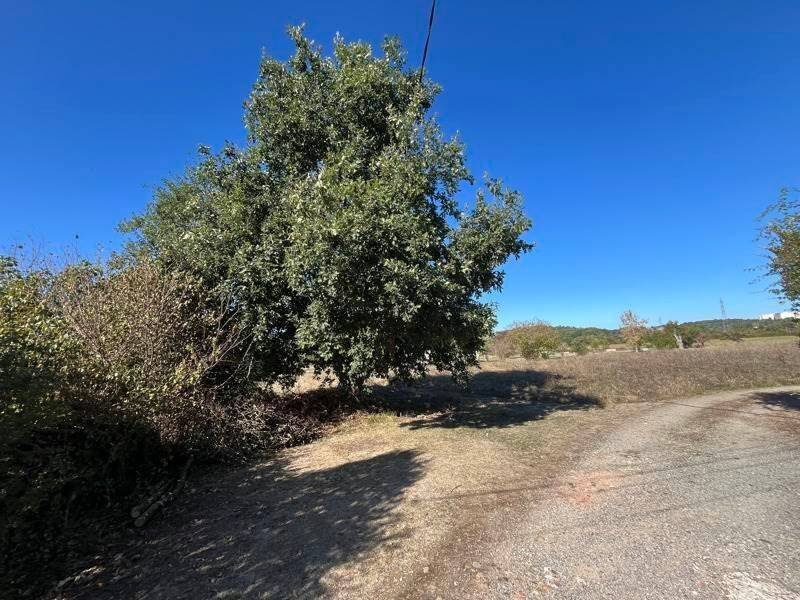 Maison à vendre, 300m², Auch