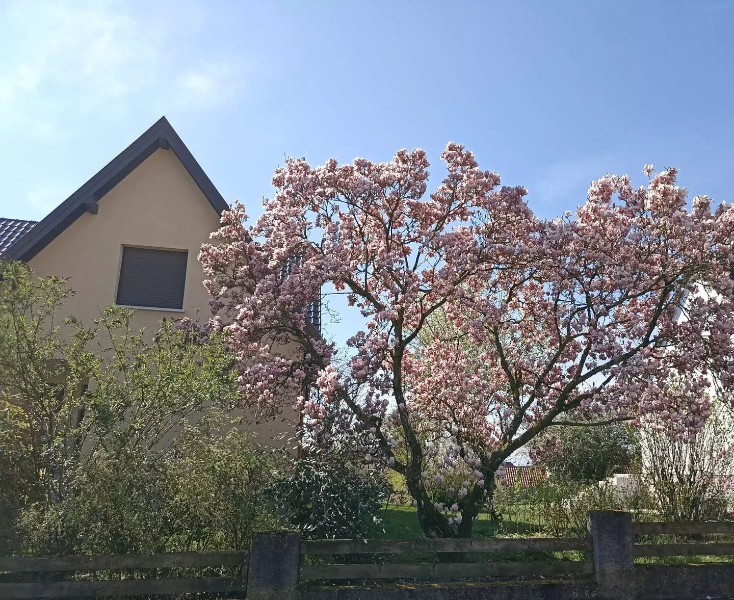 Maison à vendre, 153m², Neugartheim-Ittlenheim