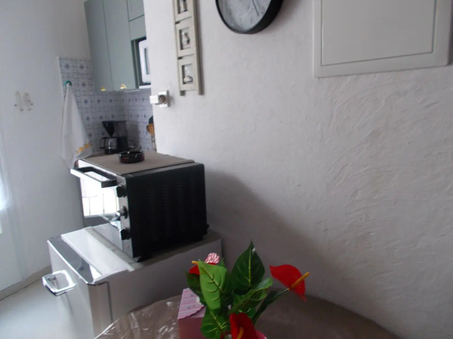 Appartement à louer, 20m², Amélie-les-Bains-Palalda