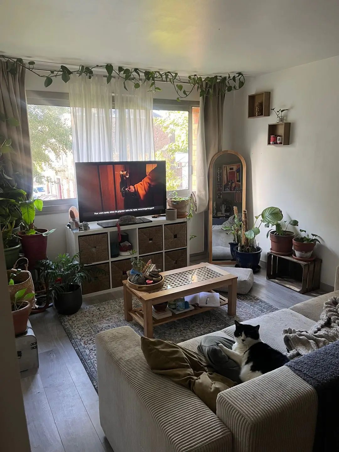 Appartement à vendre, 48m², Loos