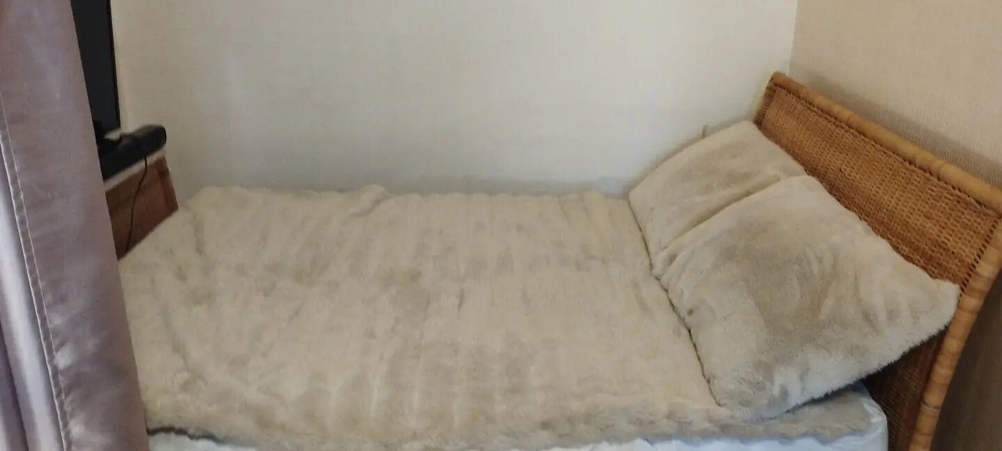 Appartement à vendre, 36m², Villeurbanne