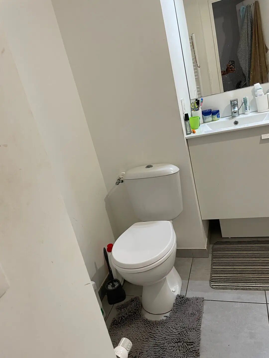 Appartement à louer, 51m², Vénissieux