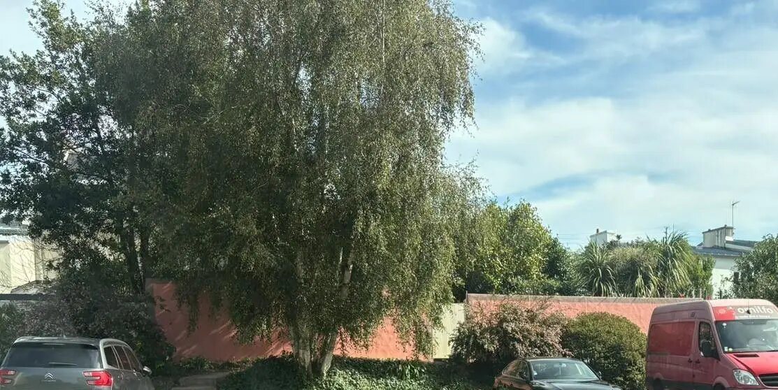Maison à louer, 12m², Brest
