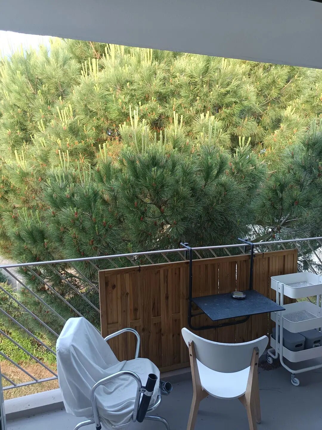 Appartement à vendre, 73m², Six-Fours-les-Plages