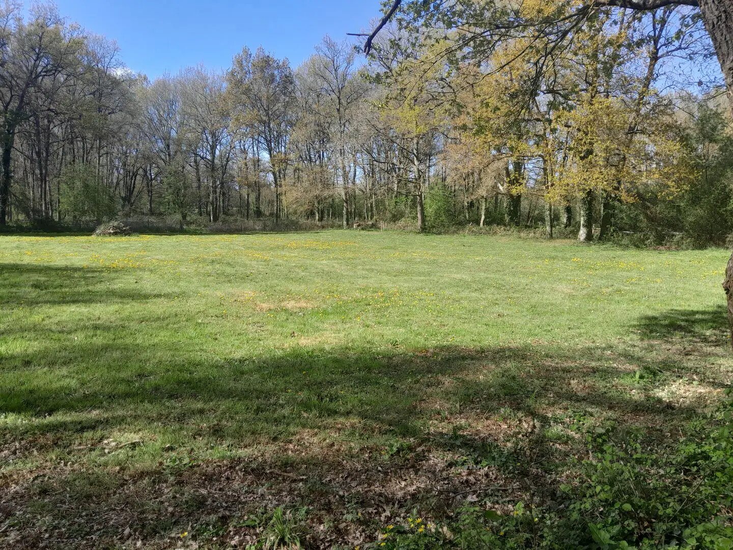 Maison à vendre, 179m², Pellouailles-les-Vignes