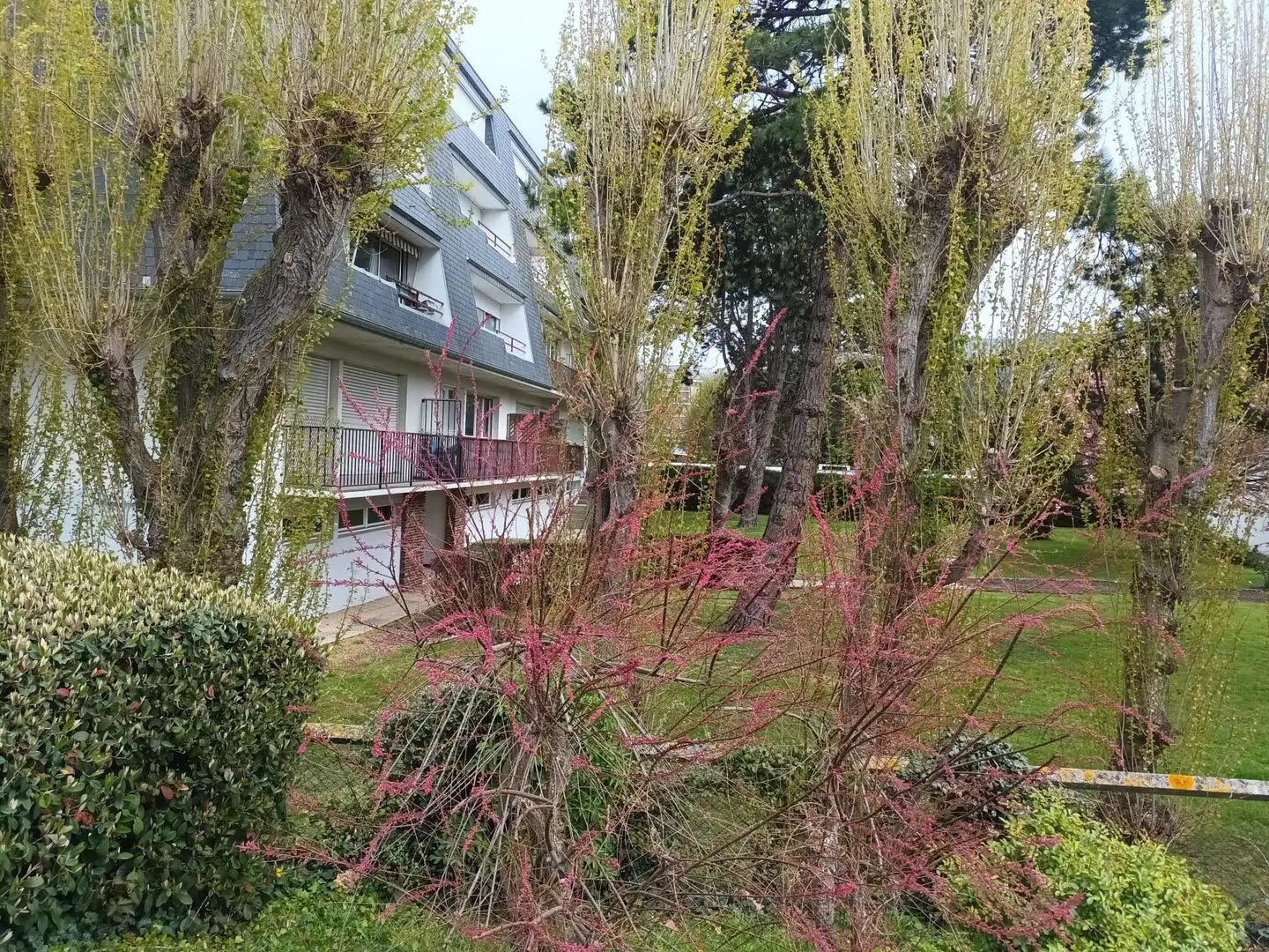Appartement à louer, 35m², Deauville