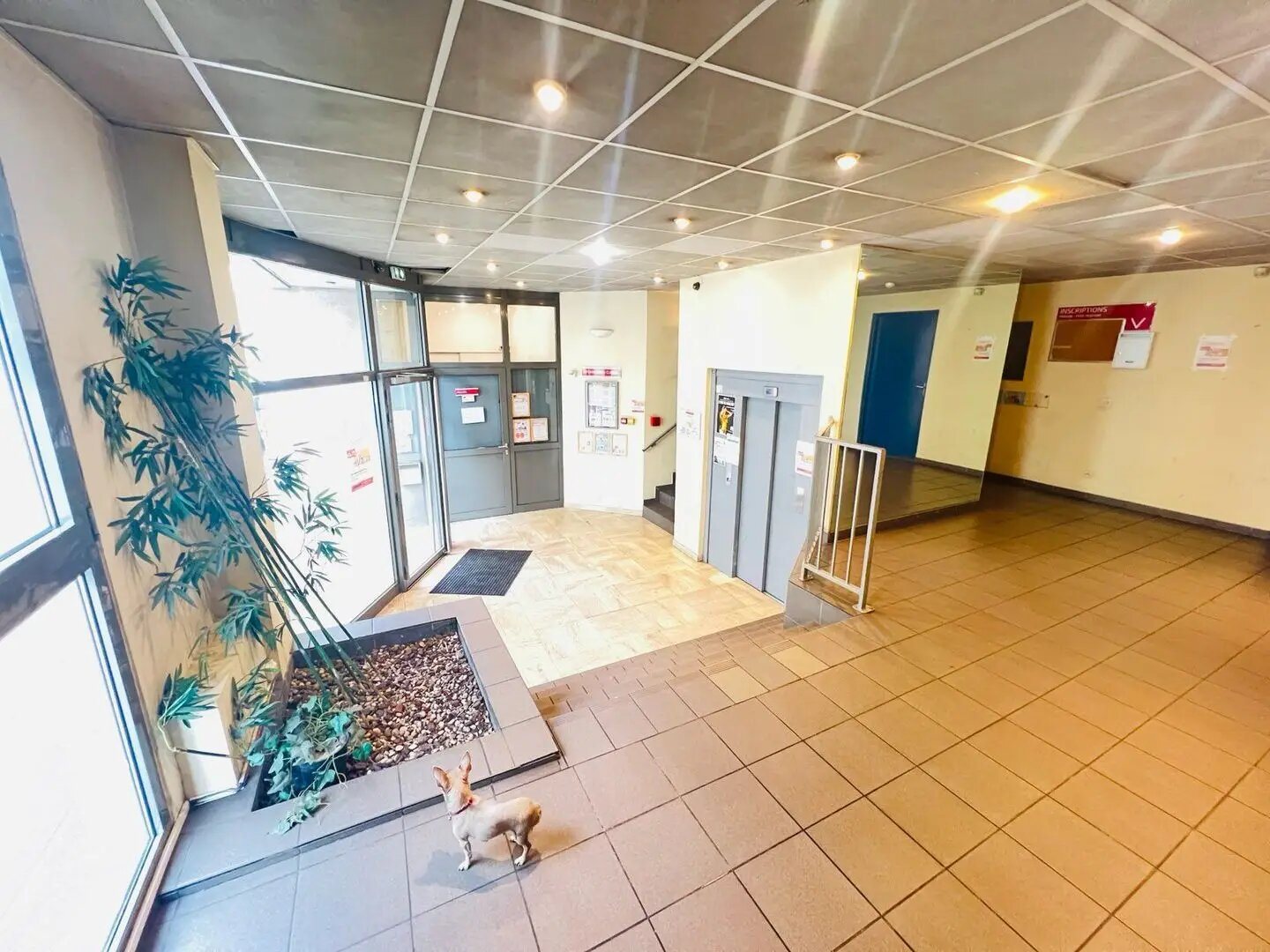 Appartement à vendre, 21m², Villeurbanne