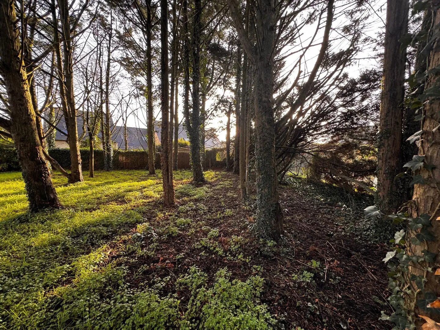 Maison à vendre, 1000m², Beaucouzé