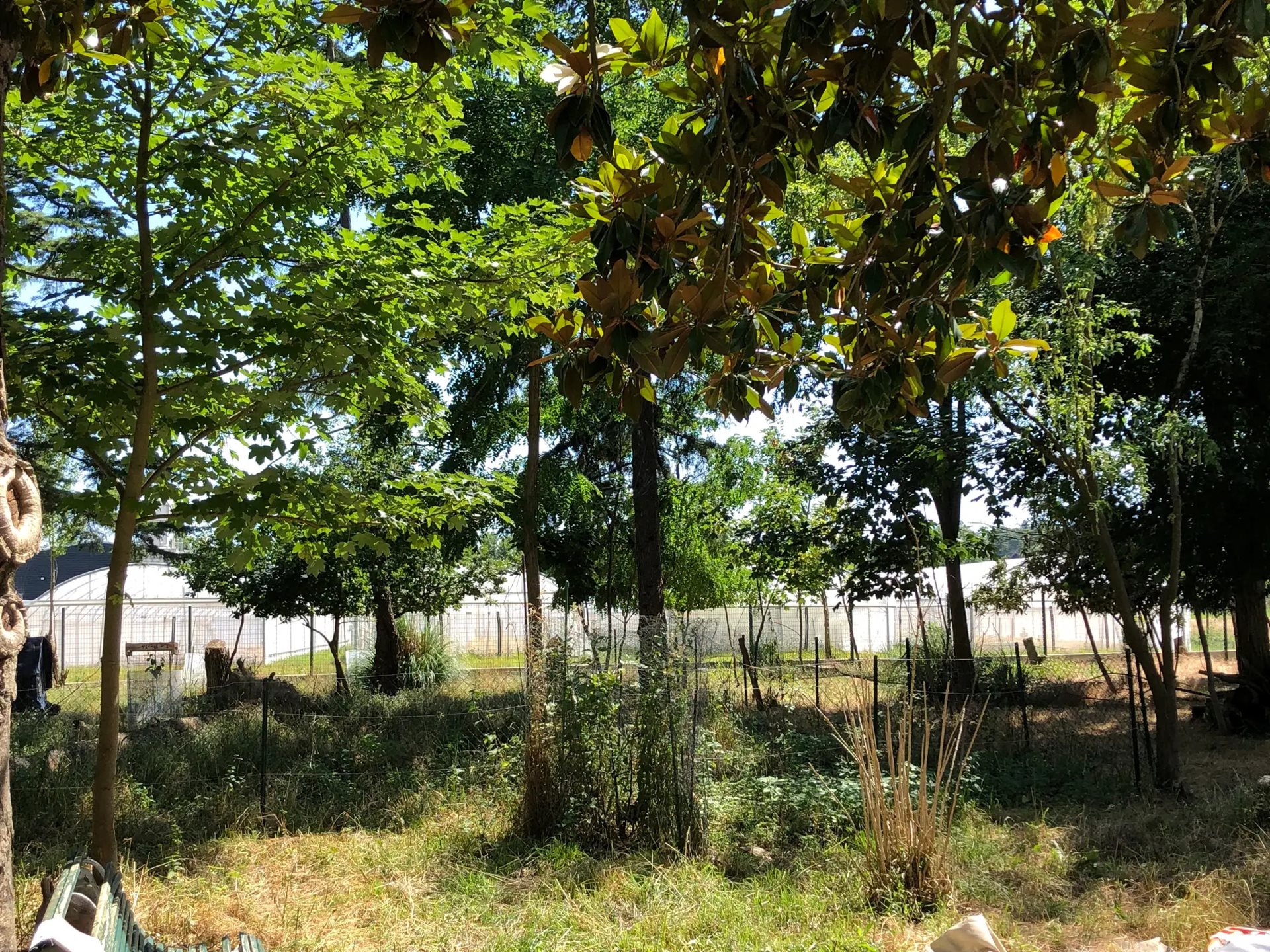 Appartement à louer, 32m², Les Ponts-de-Cé