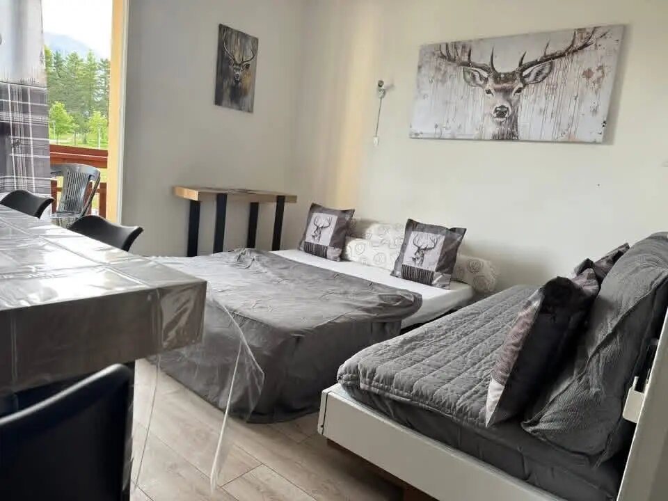 Appartement à vendre, 26m², Saint-Etienne-en-Dévoluy