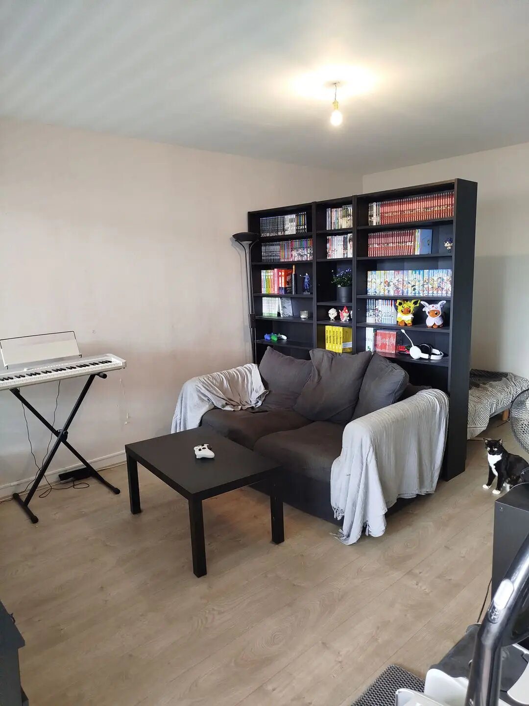 Appartement à louer, 31m², Nantes