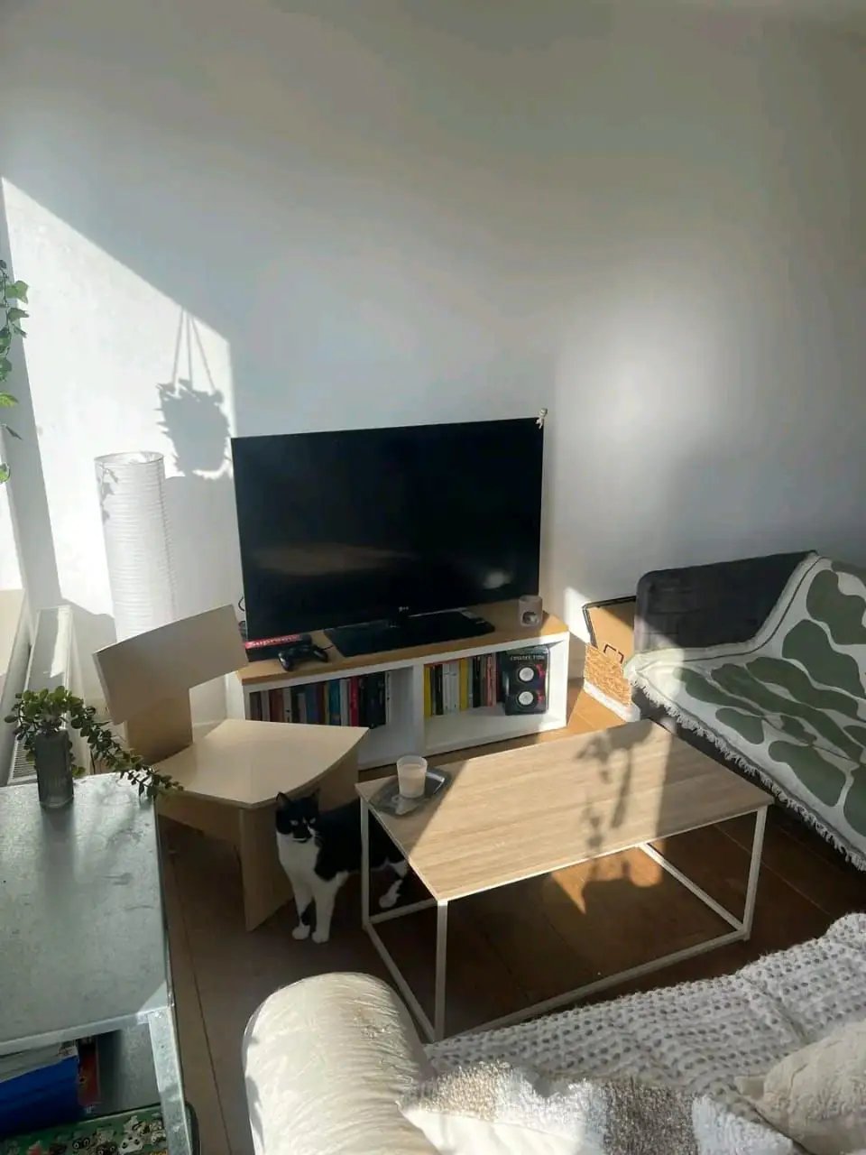 Appartement à louer, 35m², Saint-Ouen-sur-Seine