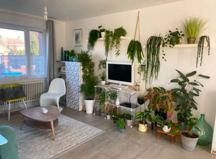 Maison à vendre, 147m², Quesnoy-sur-Deûle