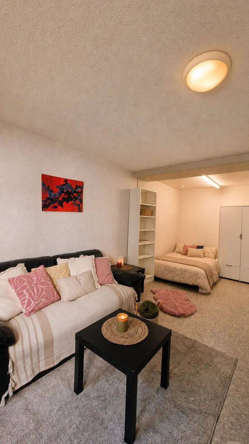 Appartement à louer, 27m², Saint-Etienne