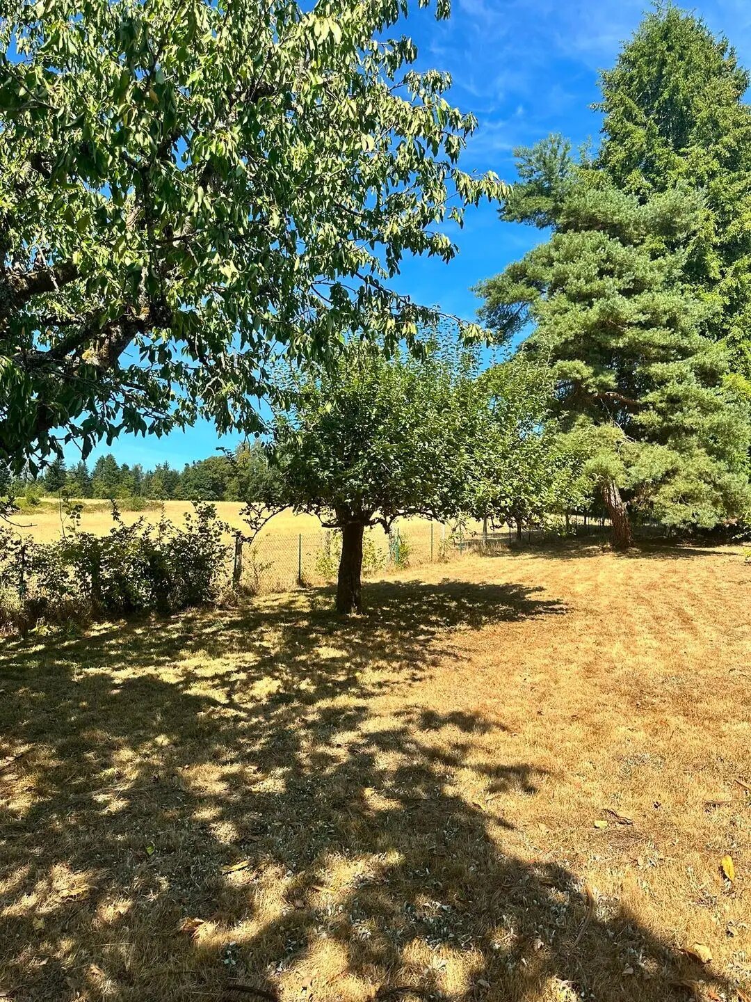 Maison à vendre, 125m², Uzemain