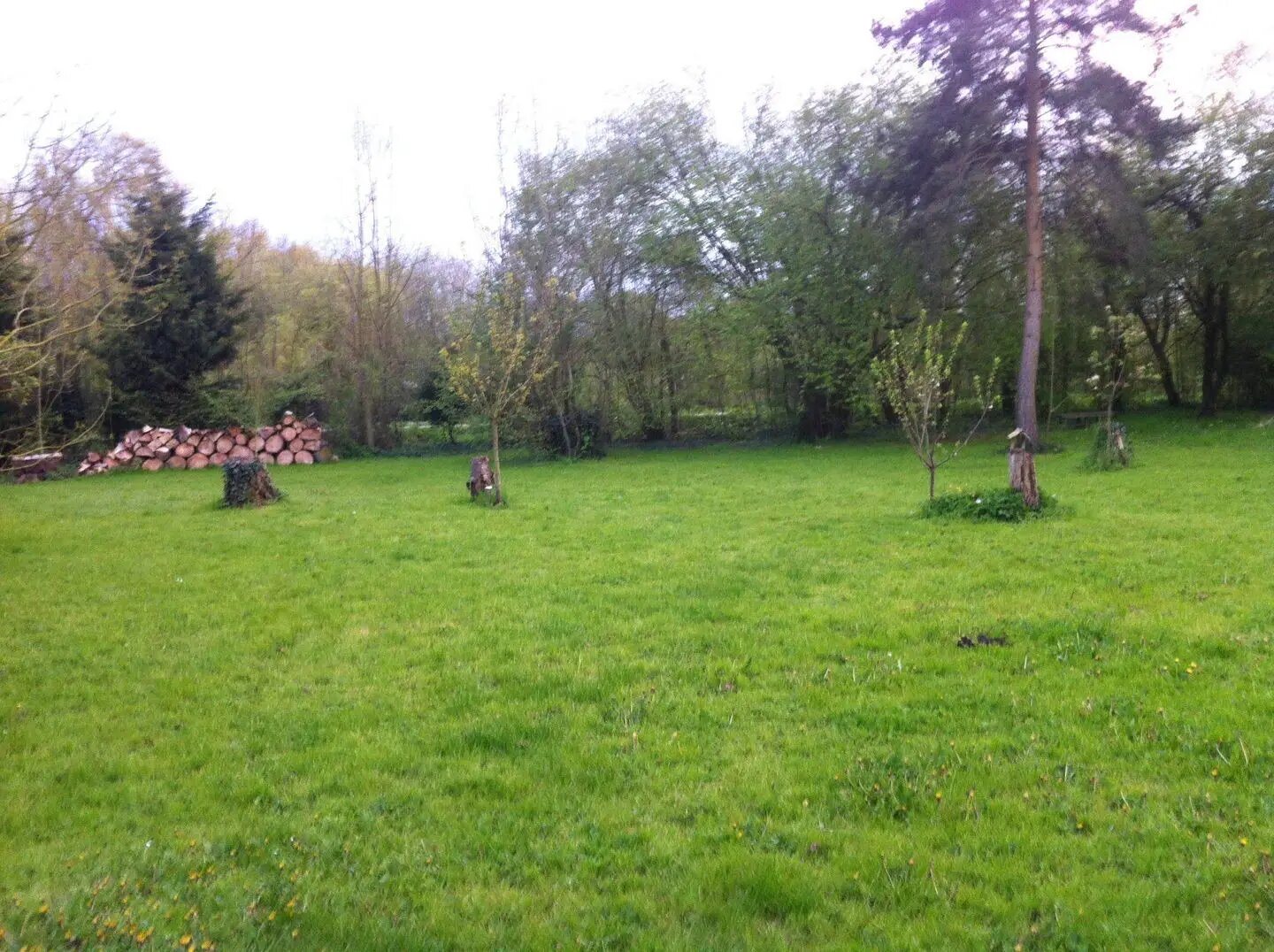 Maison à louer, 70m², Camon