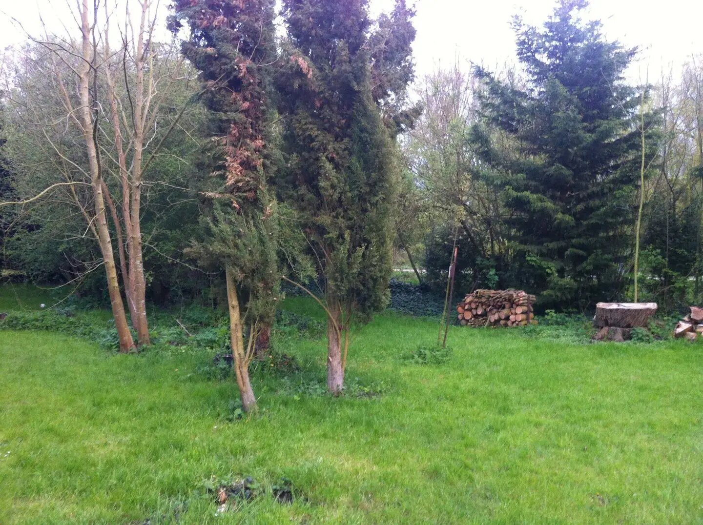 Maison à louer, 70m², Camon