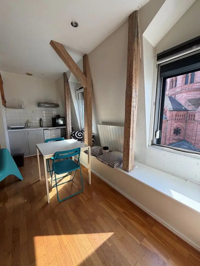 Appartement à louer, 33m², Strasbourg