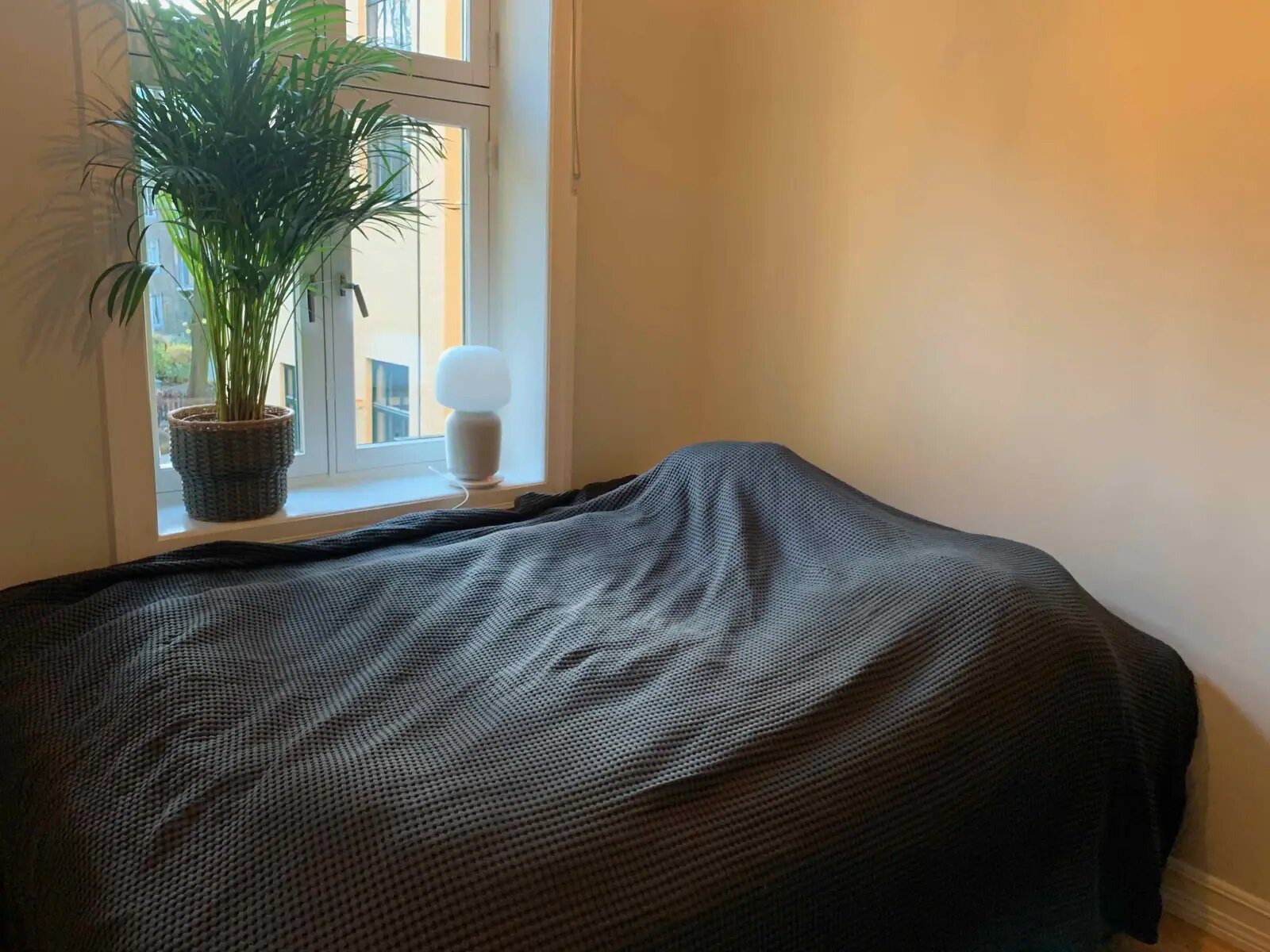 Appartement à louer, 32m², Bobigny