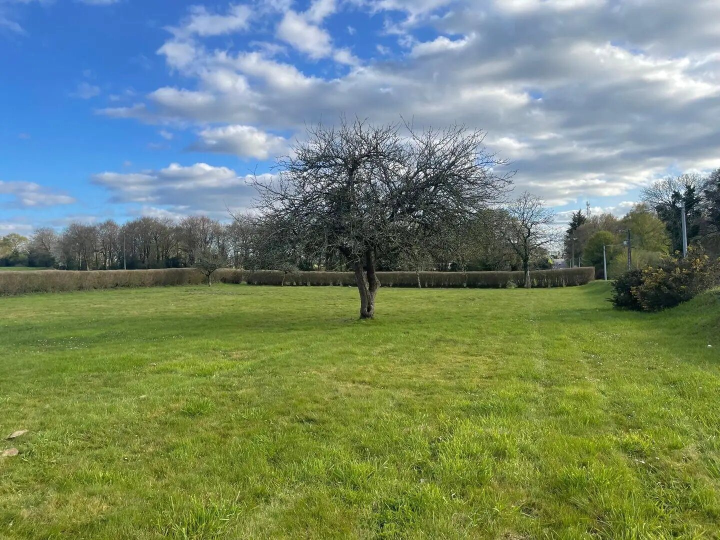 Maison à vendre, 320m², Hennebont