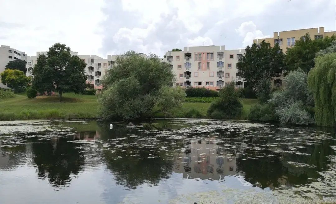 Appartement à louer, 85m², Champs-sur-Marne