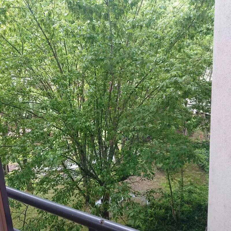 Appartement à louer, 25m², Toulouse