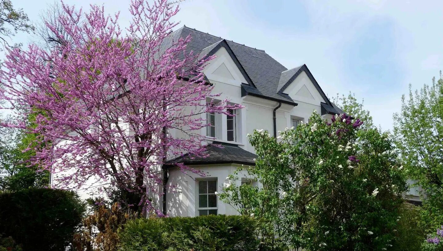 Maison à louer, 190m², La Celle-Saint-Cloud