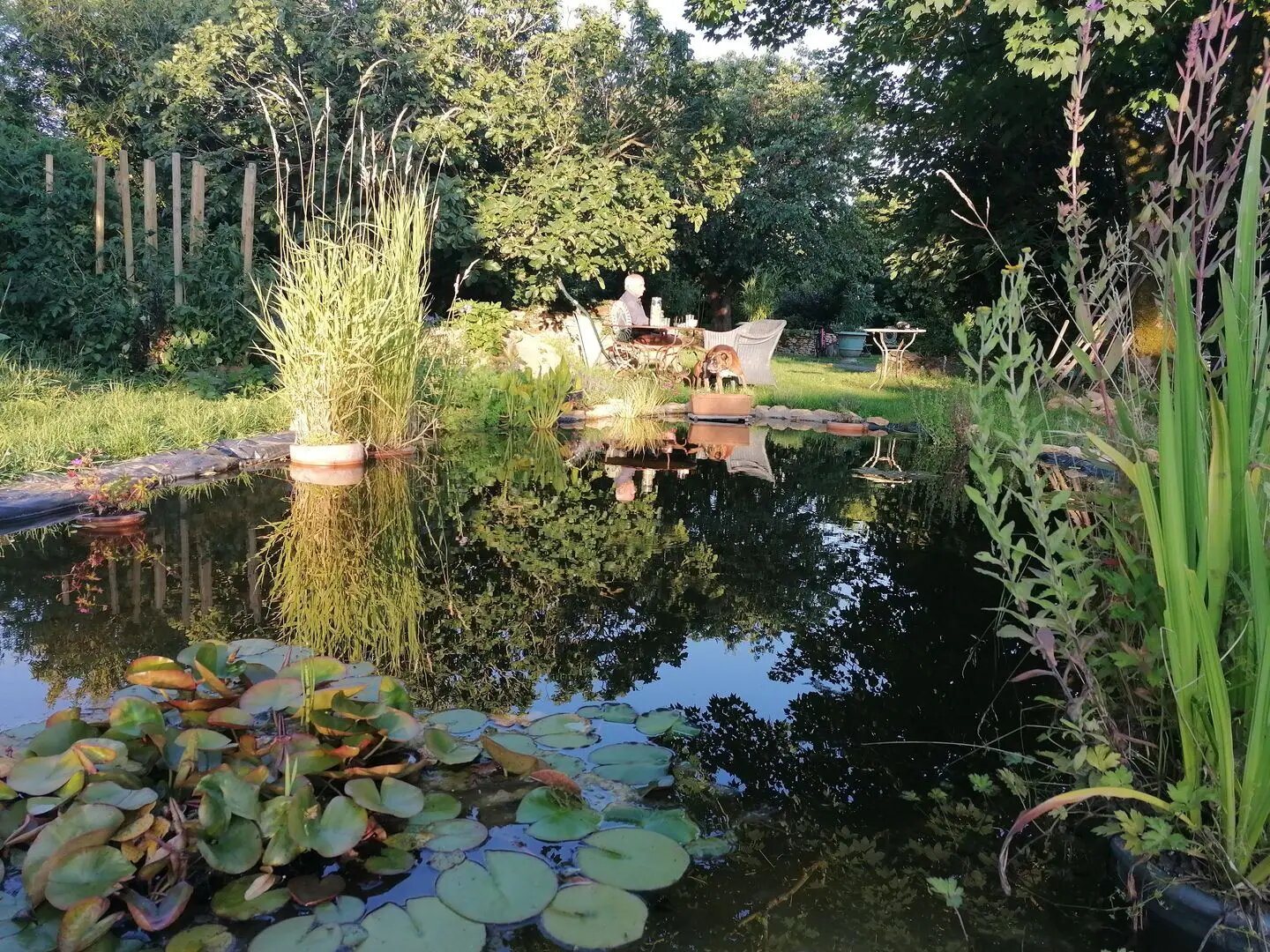 Maison à vendre, 270m², Chaillé-les-Marais