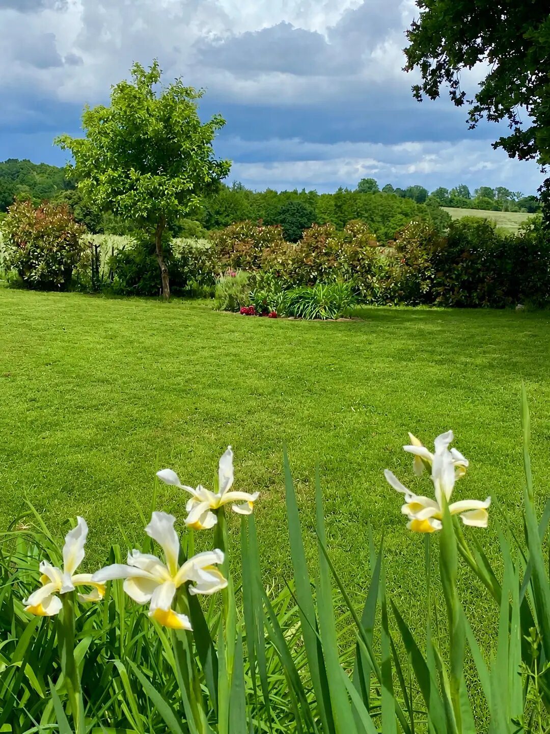 Maison à vendre, 180m², La Chapelle-sur-Erdre