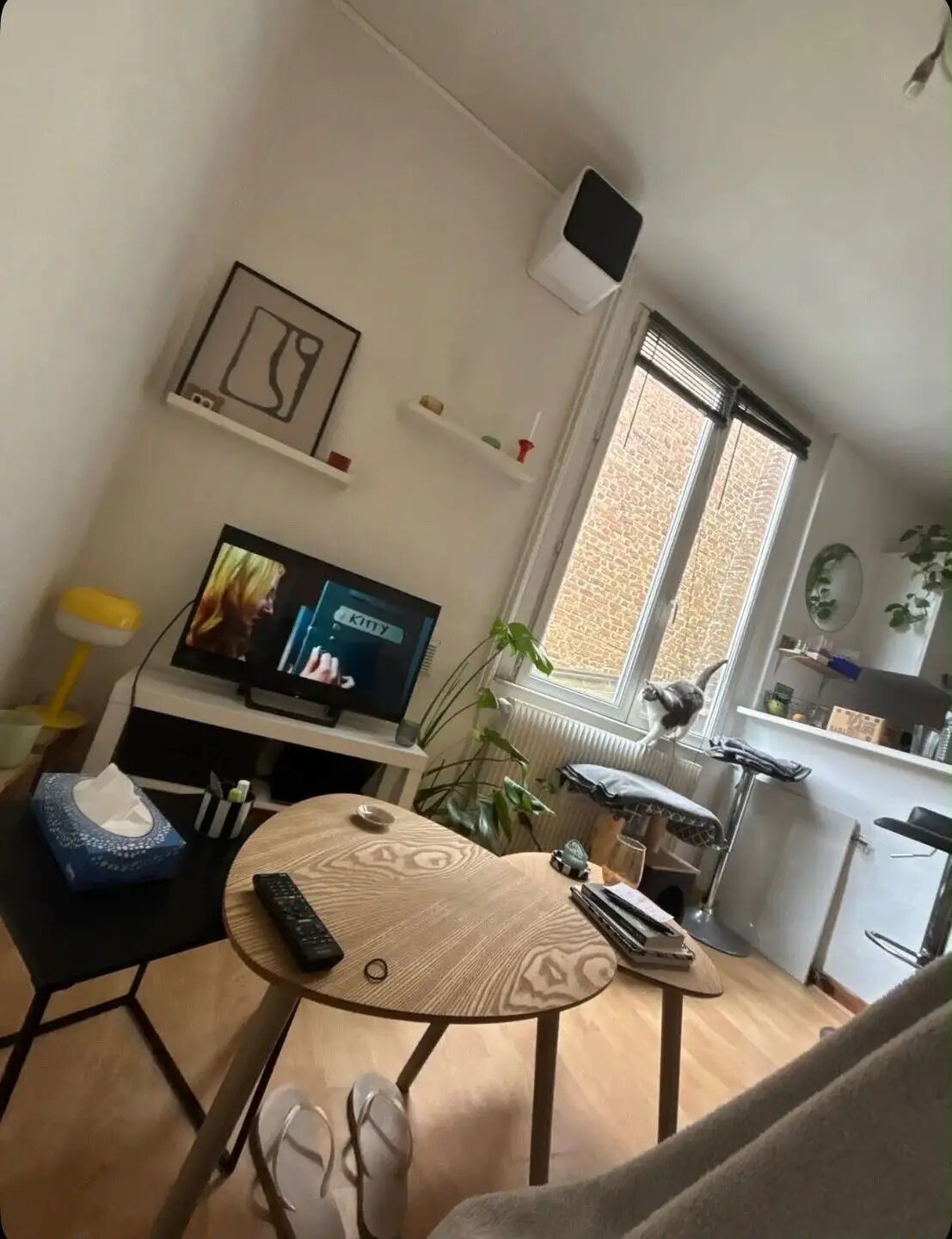 Appartement à louer, 27m², Lille
