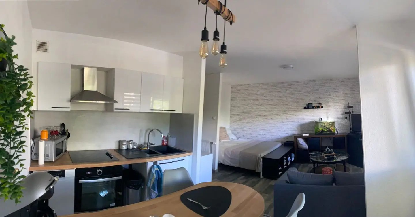 Appartement à louer, 31m², Mulhouse