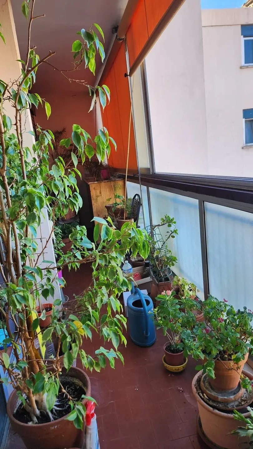 Appartement à louer, 60m², Le Cannet