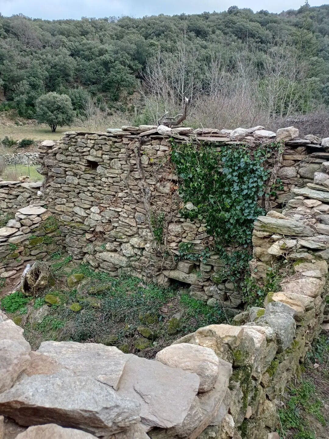 Maison à vendre, 50m², Rosis