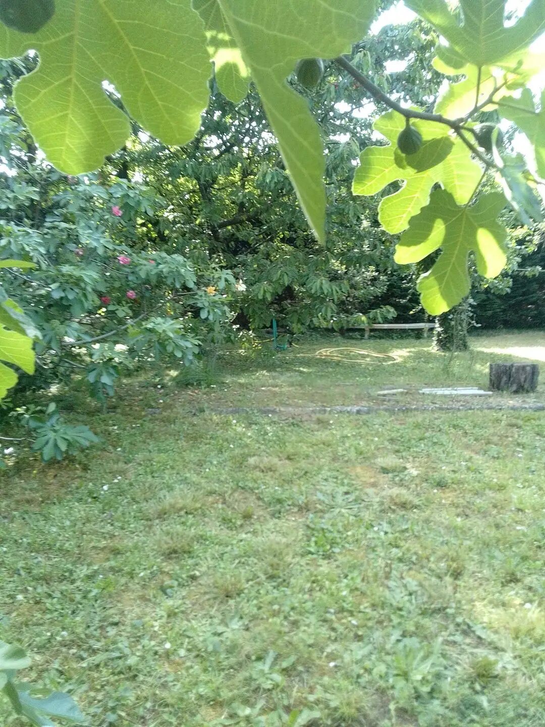 Maison à vendre, 100m², Saint-Priest