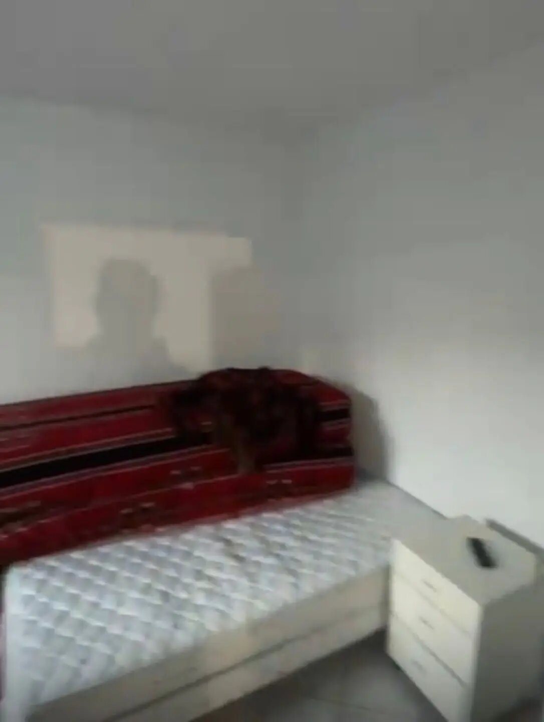 Appartement à louer, 28m², Marseille 15ème