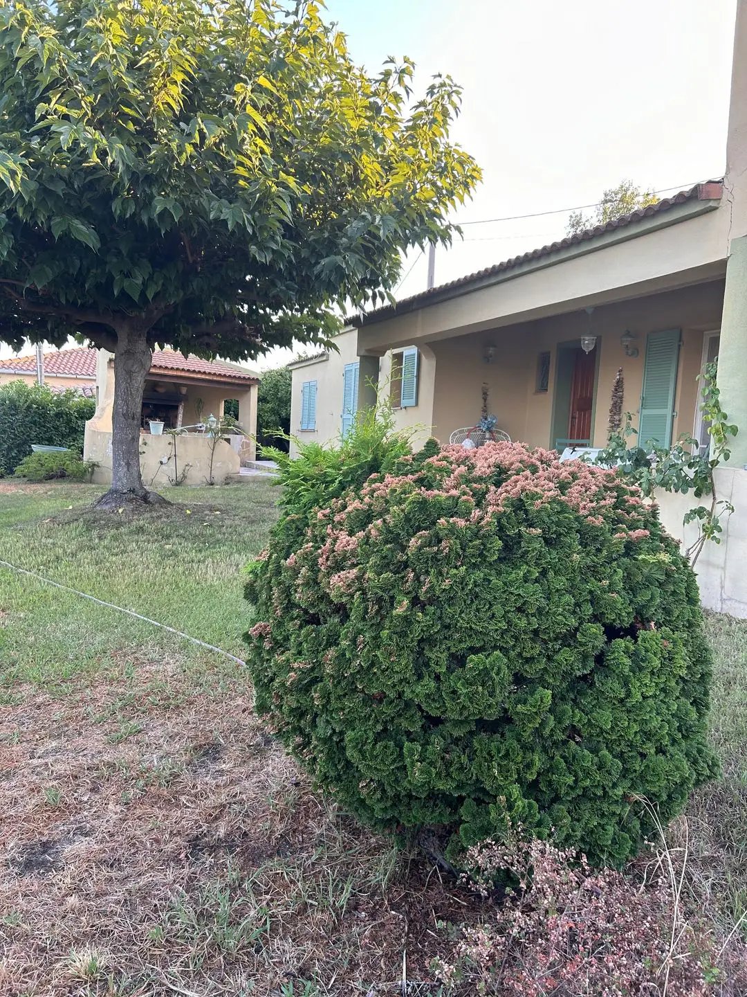 Maison à vendre, 123m², Ghisonaccia