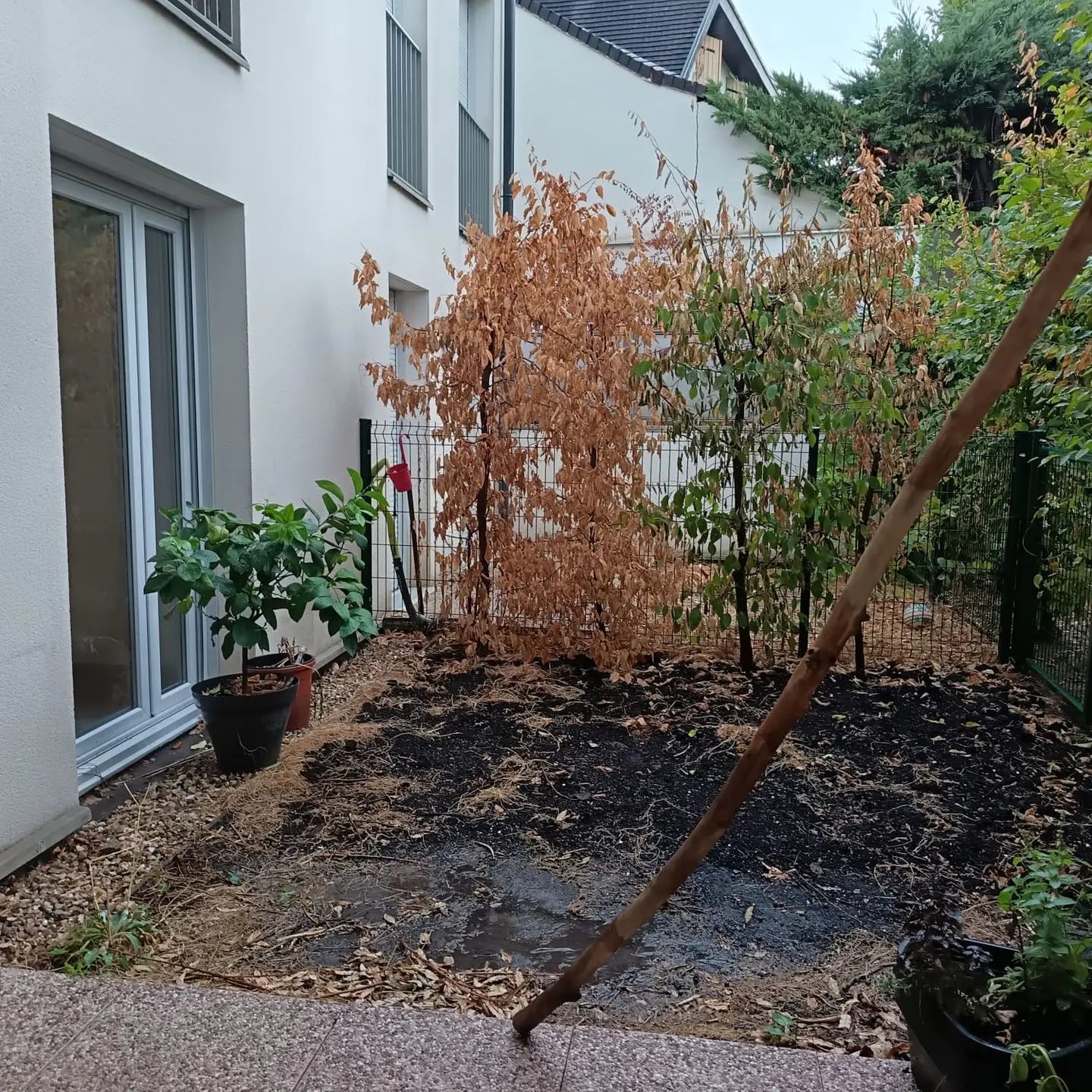 Appartement à louer, 60m², Livry-Gargan