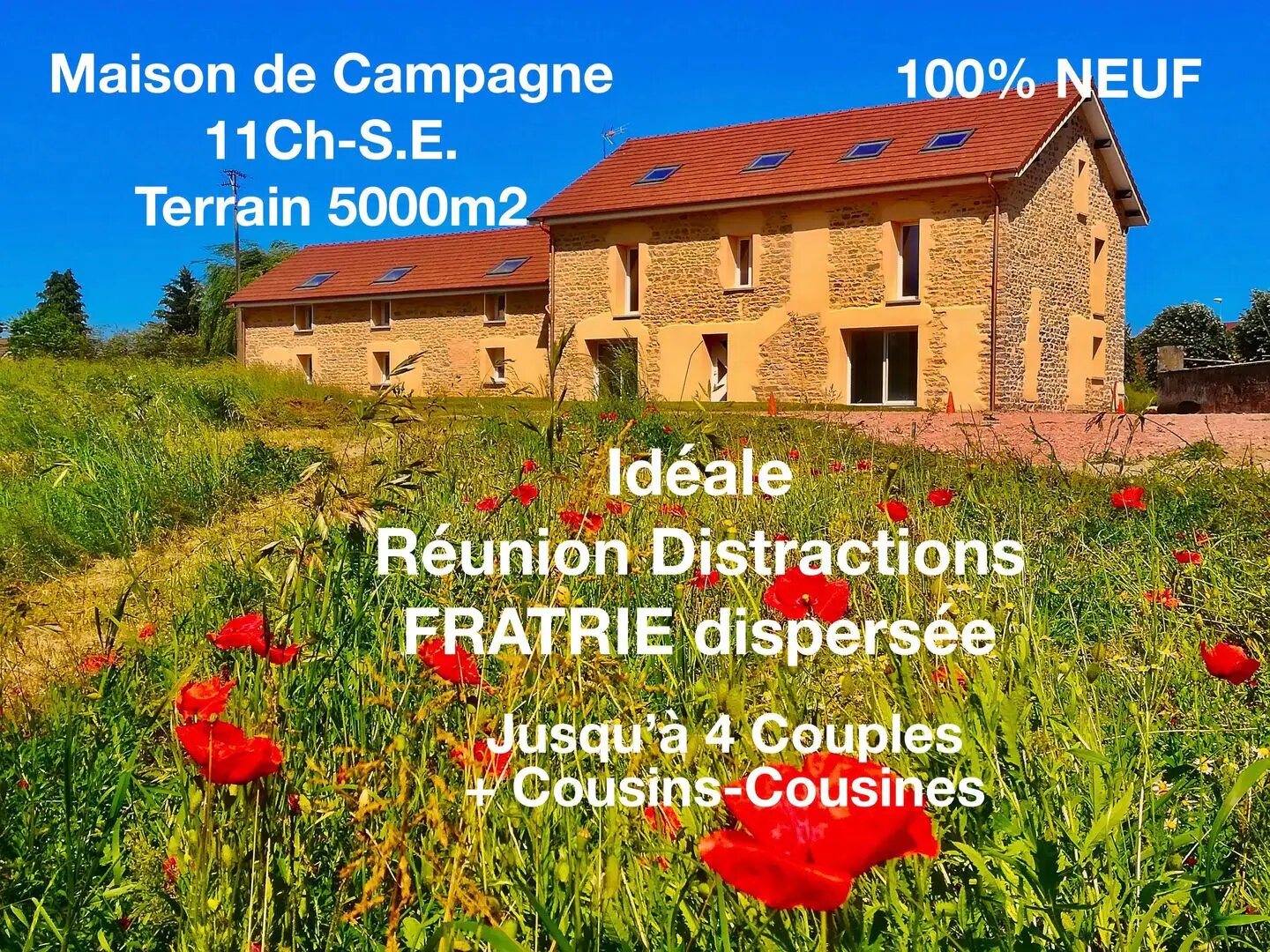 Maison à vendre, 500m², Palinges