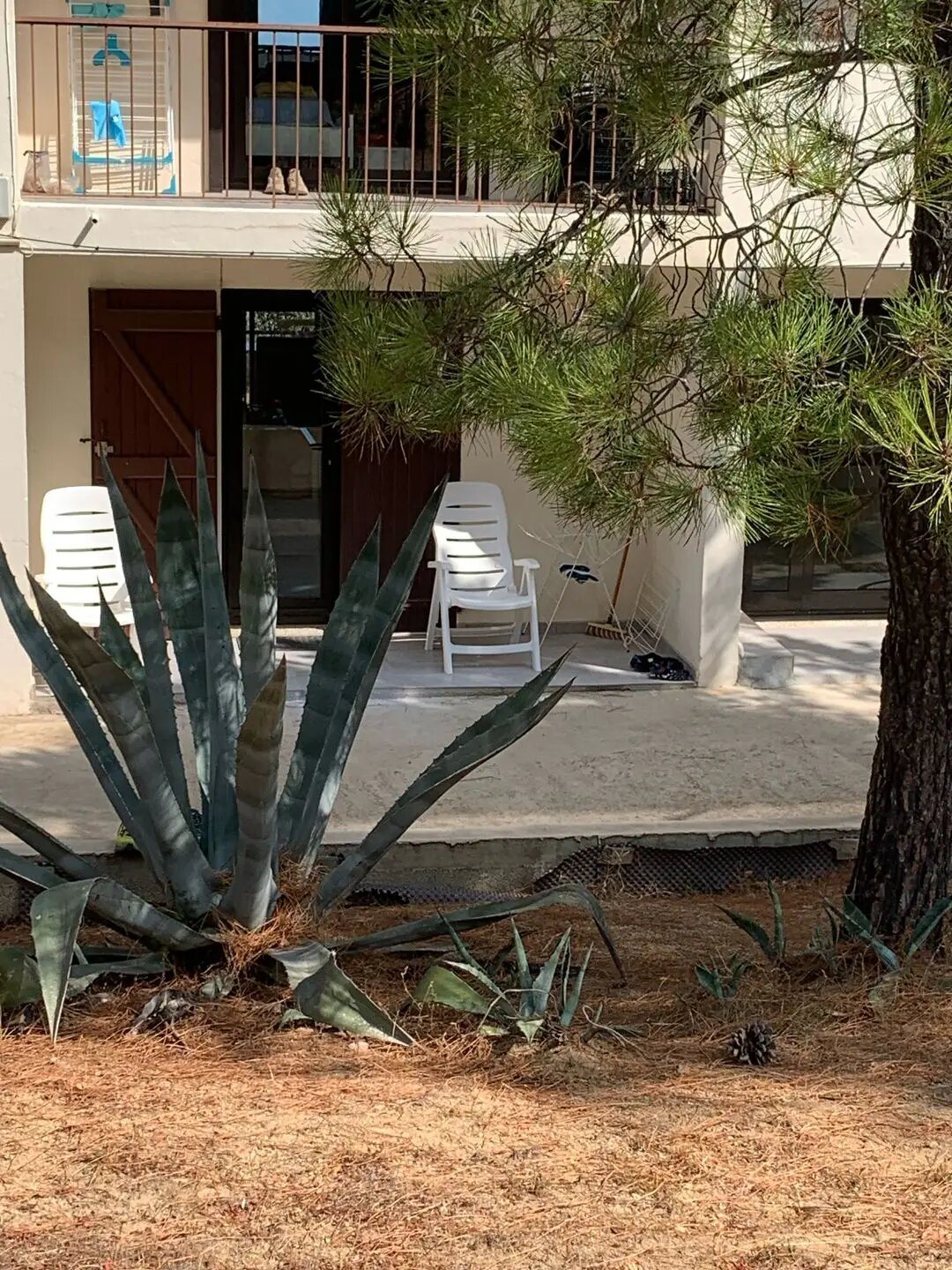Appartement à louer, 42m², Calvi