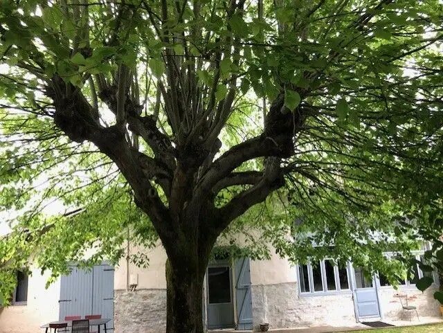 Maison à vendre, 127m², Montauban