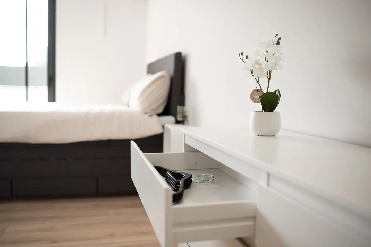 Appartement à louer, 25m², Albi