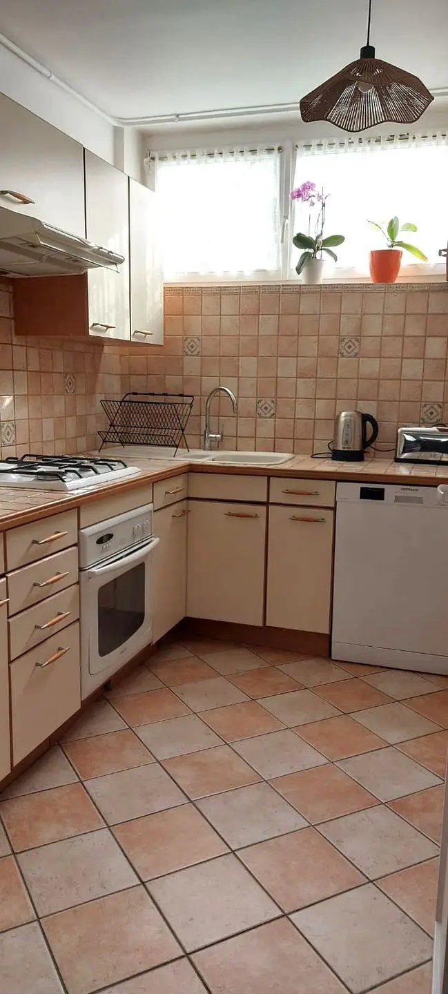 Appartement à louer, 58m², Antony