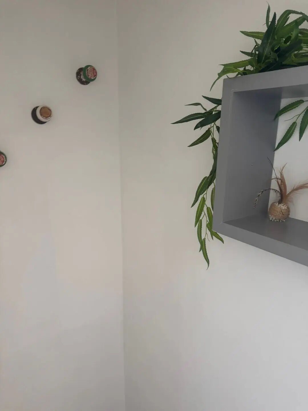 Appartement à louer, 27m², Le Havre