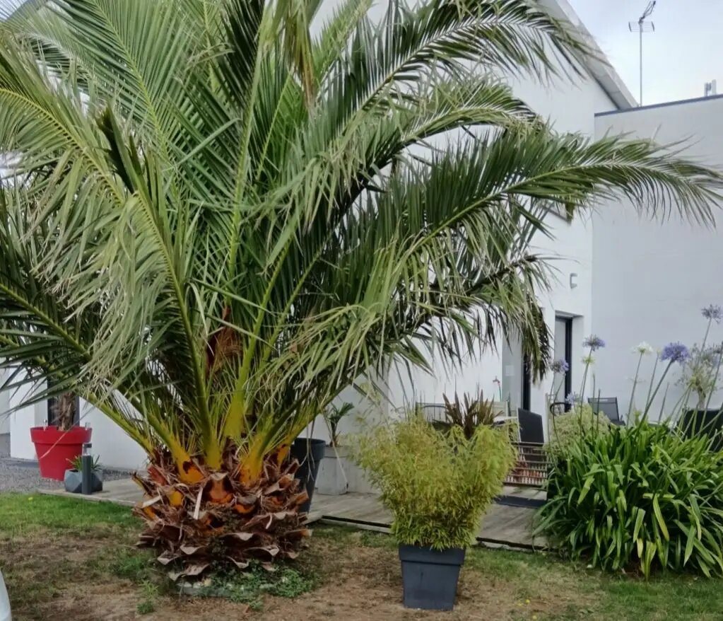 Maison à vendre, 125m², Donville-les-Bains