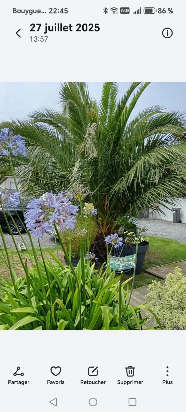 Maison à vendre, 125m², Donville-les-Bains