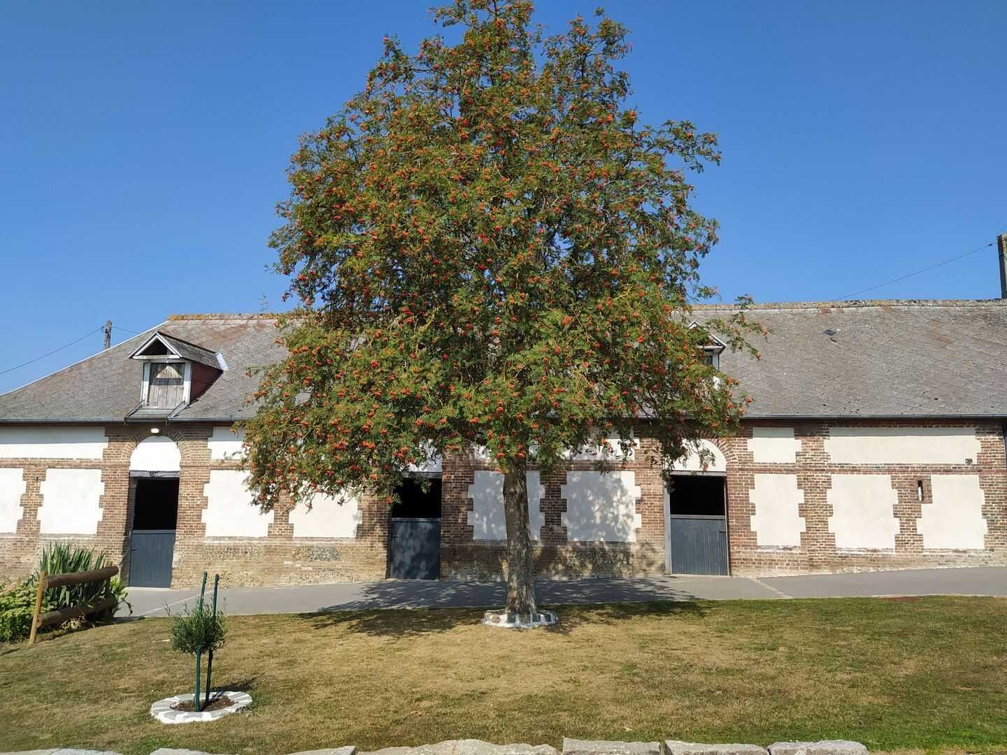 Maison à vendre, 260m², Bures-en-Bray