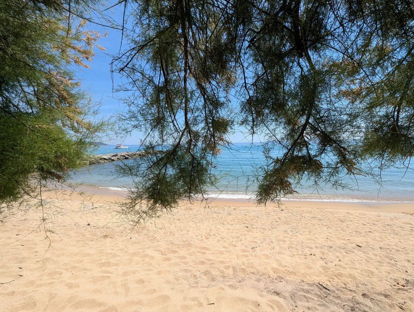 Appartement à louer, 22m², Le Lavandou