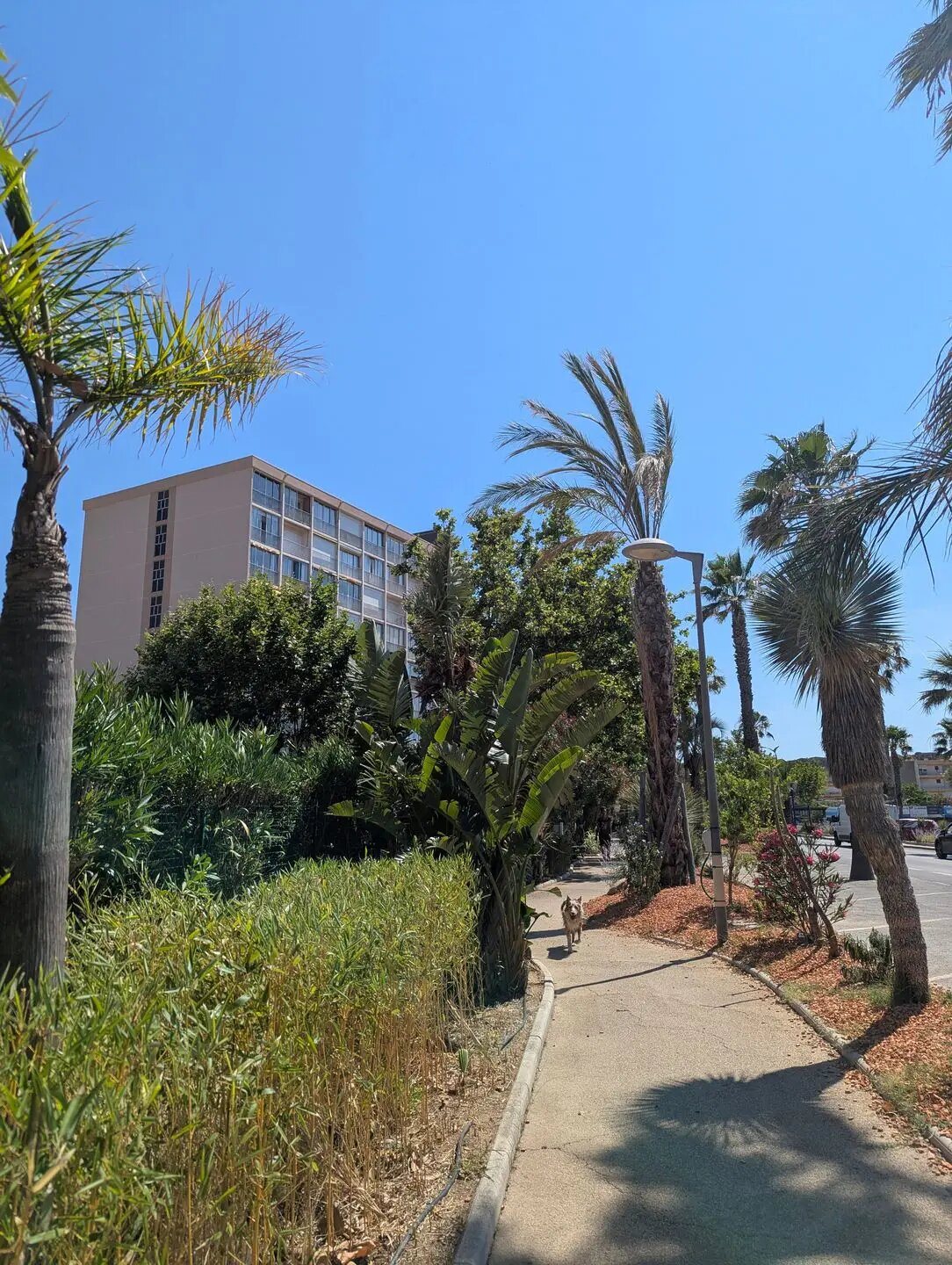 Appartement à louer, 22m², Le Lavandou