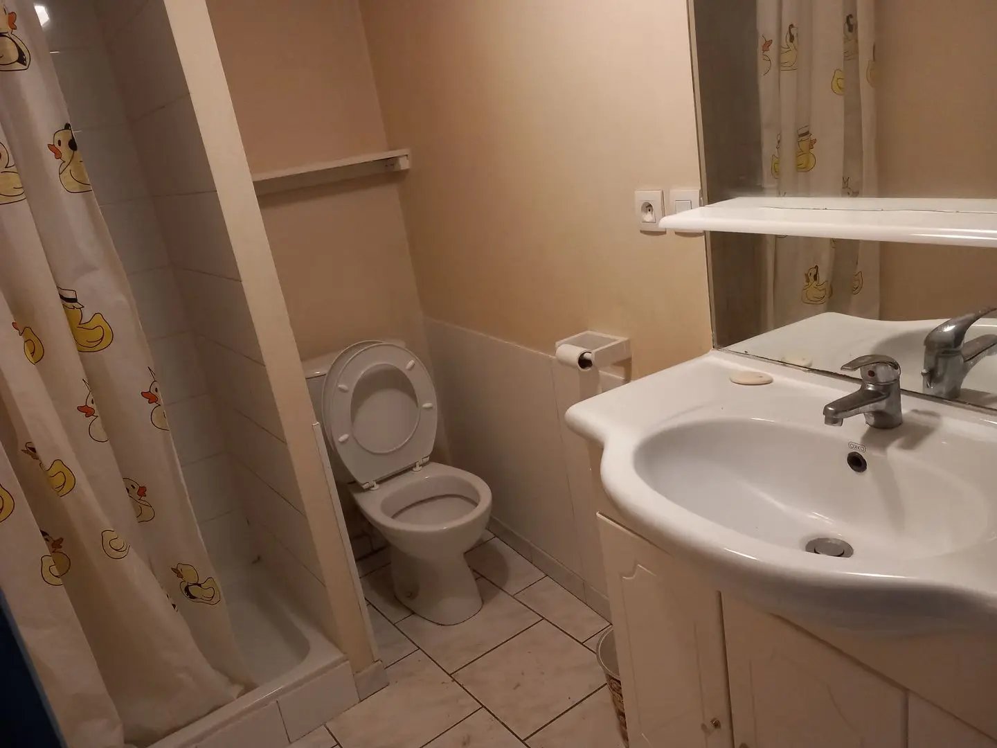 Maison à vendre, 300m², Auch