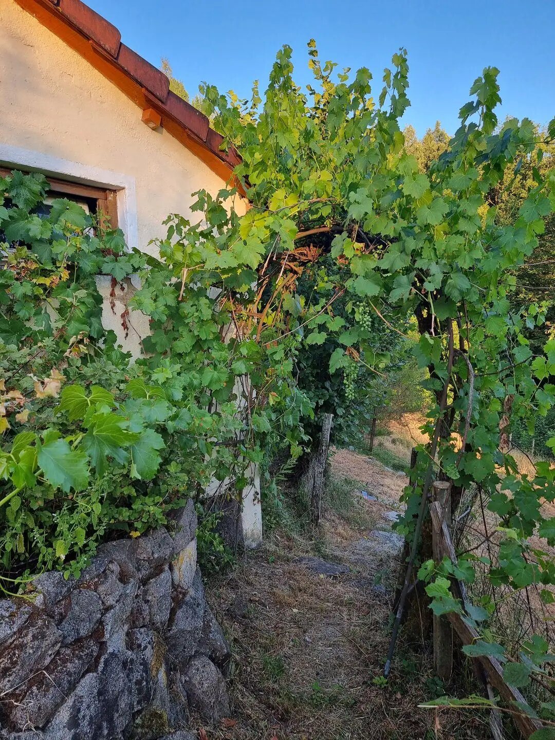 Maison à vendre, 130m², Ferdrupt